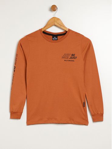 Camiseta Manga Longa Juvenil Para Menino - MARROM
